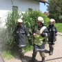 12_06_30_tag_der_offenen_gemeinde_23