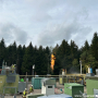 IMG-20261026-WA0028