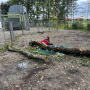 IMG-20261026-WA0039