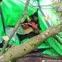 IMG-20261026-WA0052
